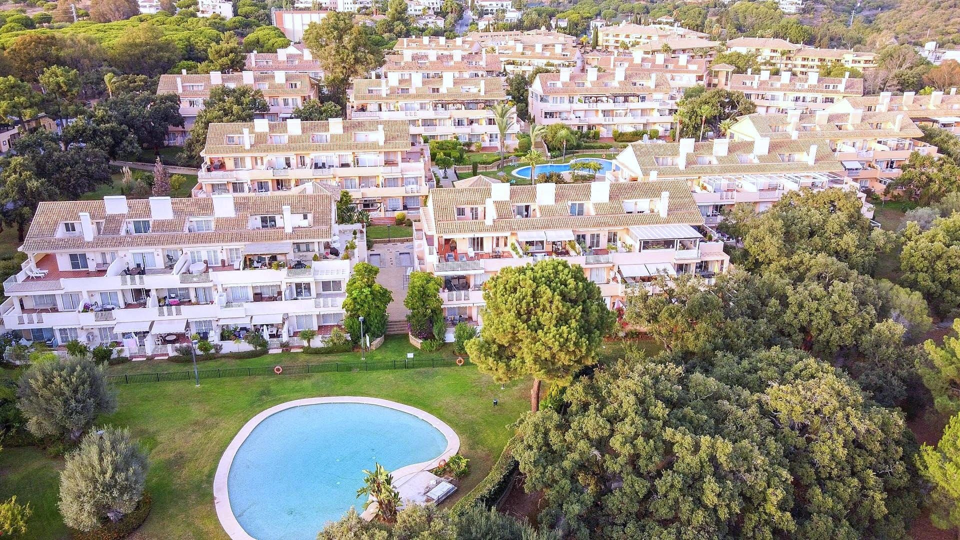 Aerial view of the complex among pine trees