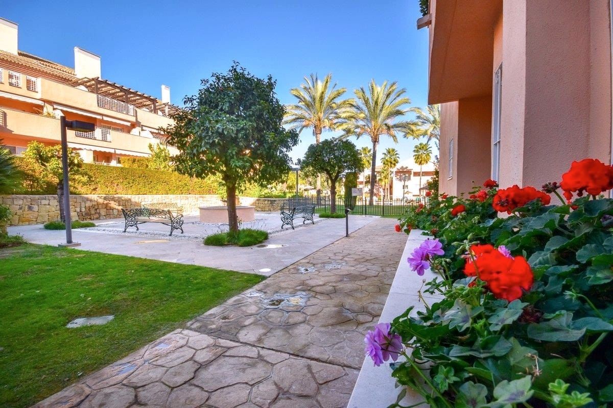 Garden path with geraniums