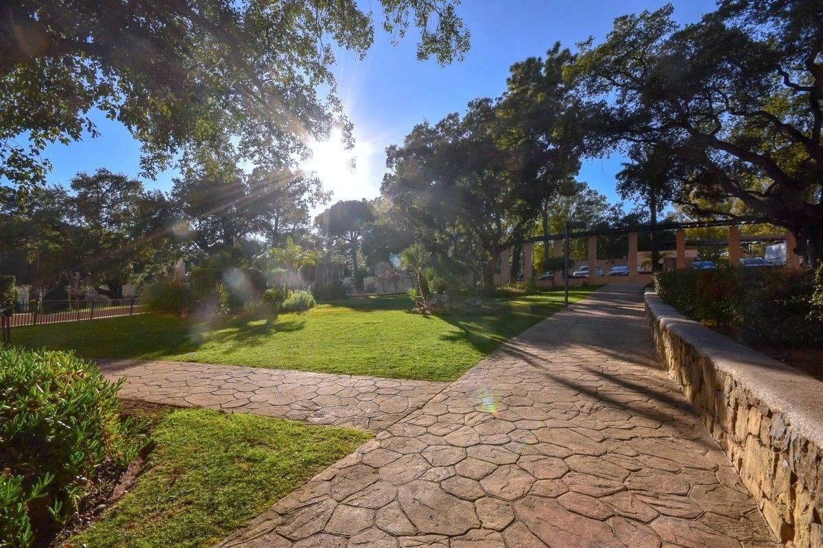 Garden path in the evening sun