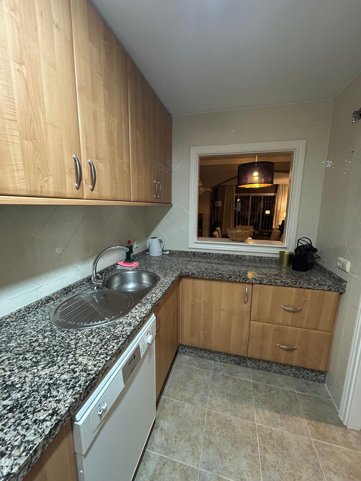 Kitchen sink and dishwasher