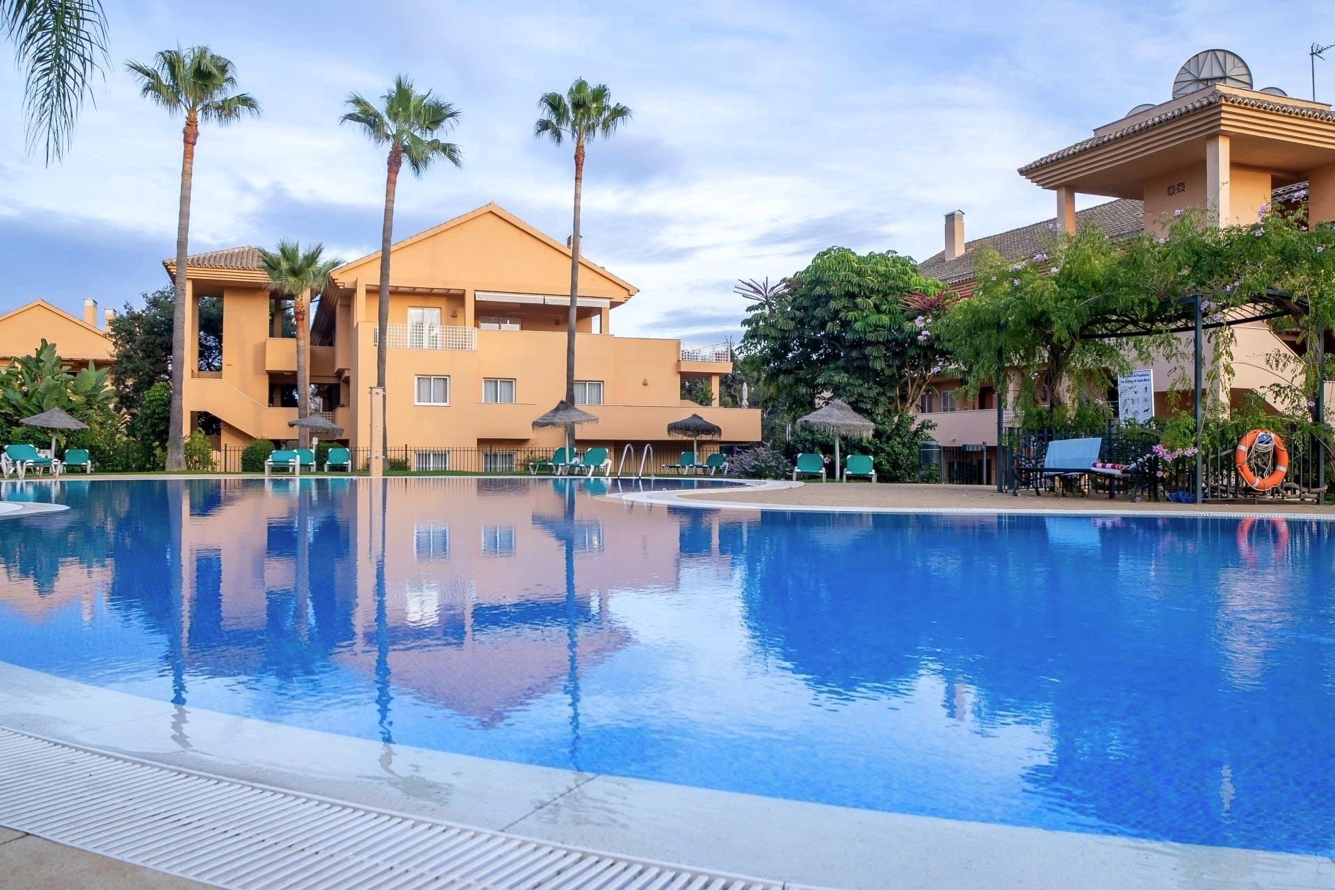 Communal pool among palm trees